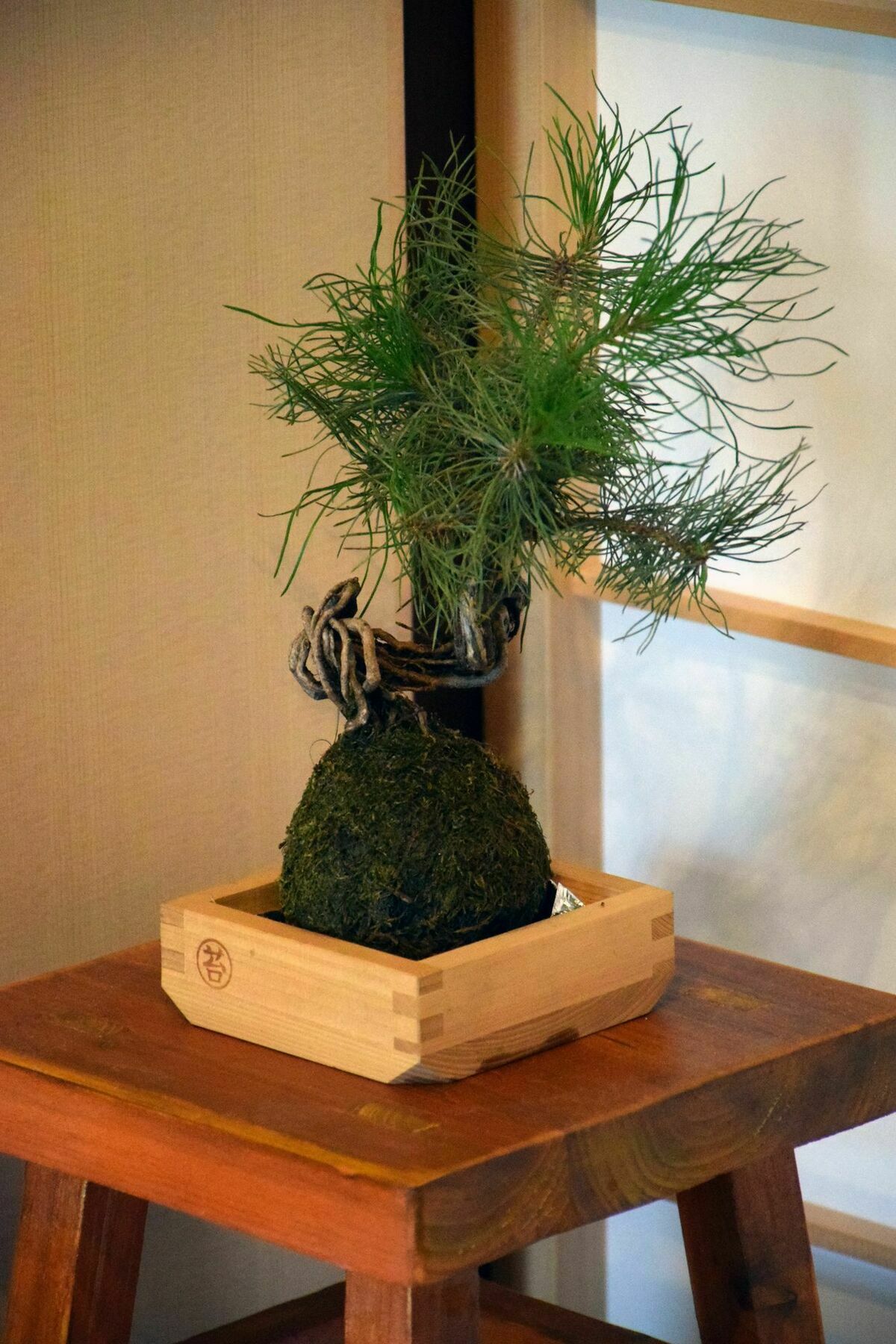 Guesthouse Hanamiya Kioto Exterior foto